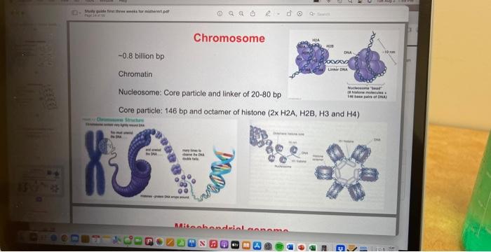 Solved Chromosome | Chegg.com