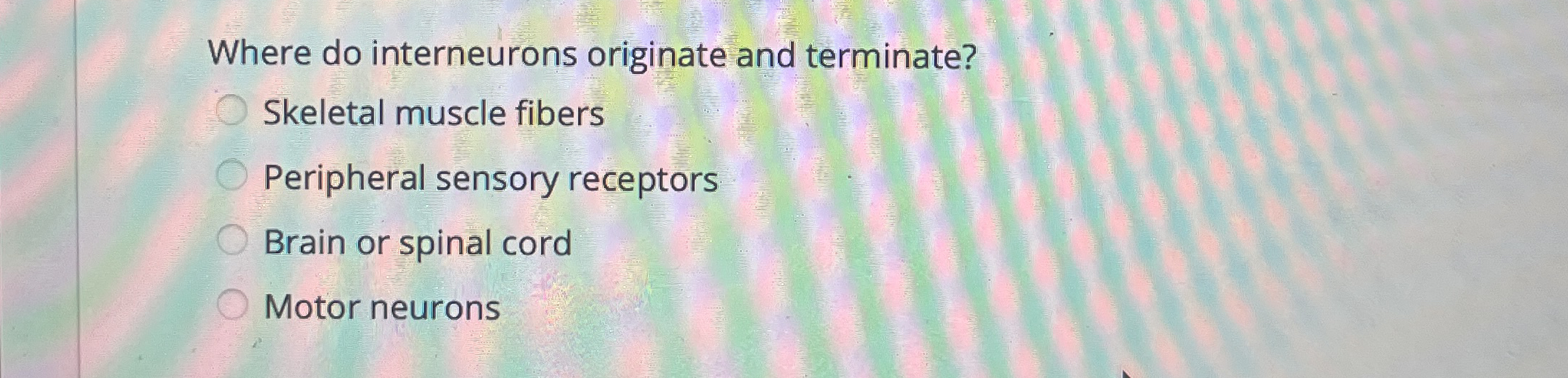Solved Where do interneurons originate and | Chegg.com