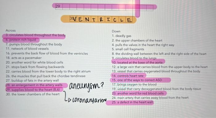Solved Can someone help with whats in pink? the answers i | Chegg.com