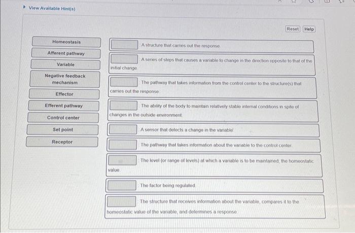 Solved Vew Available Hint(s) Homeostasis Afferent pathway | Chegg.com