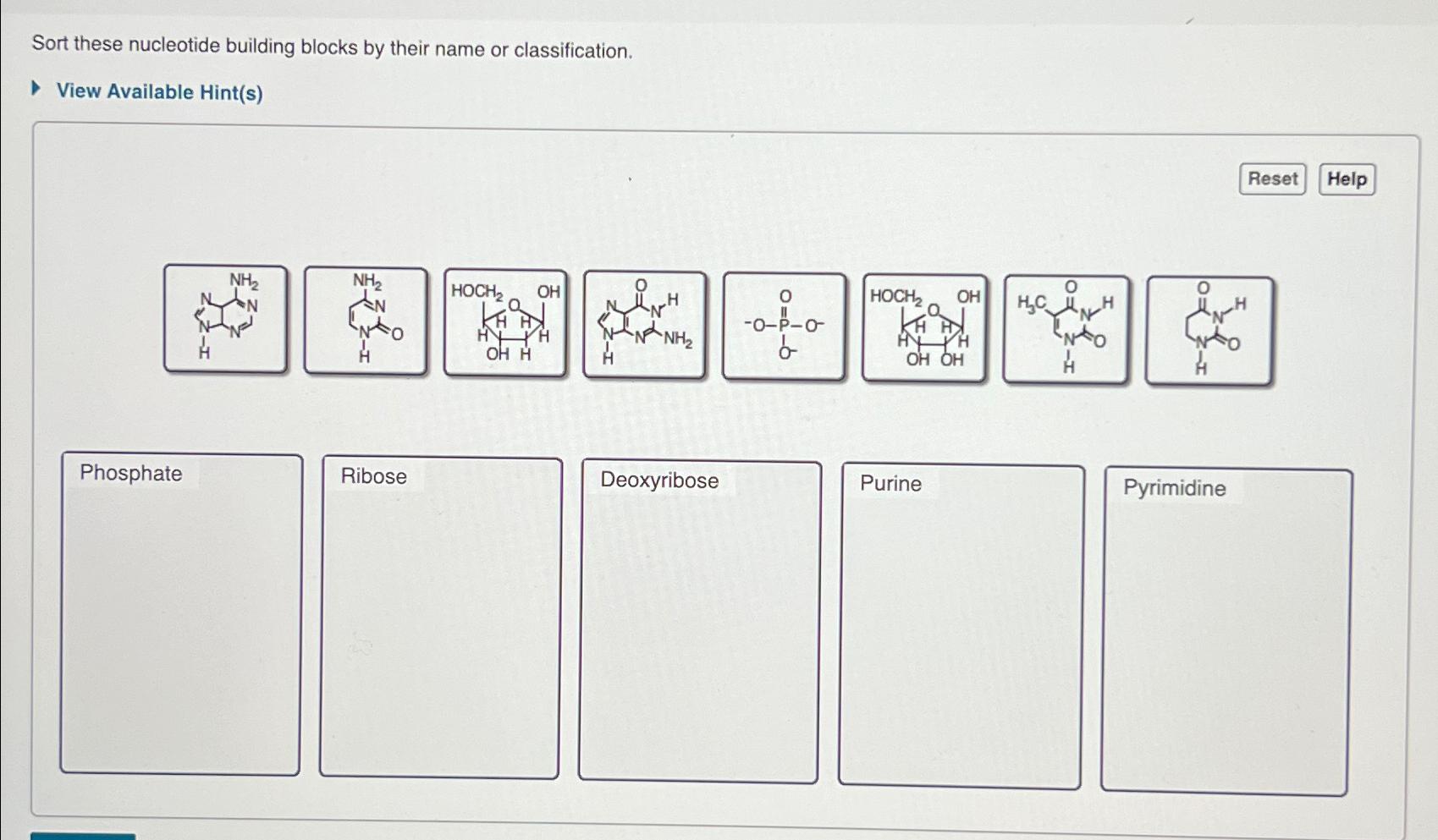 Solved Sort These Nucleotide Building Blocks By Their Name Chegg Com