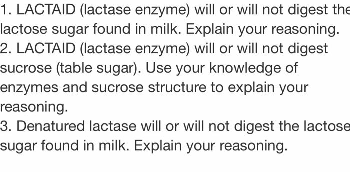 lactase structure