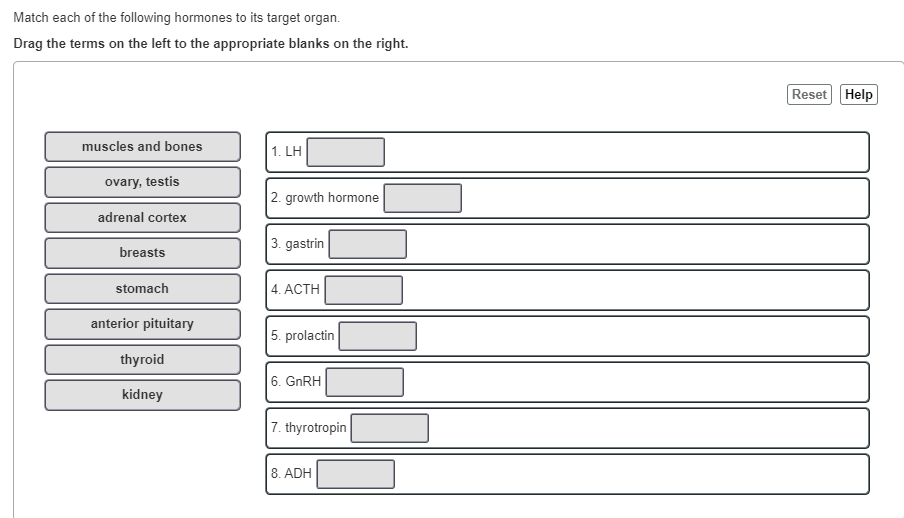 Solved Match each of the following hormones to its target | Chegg.com