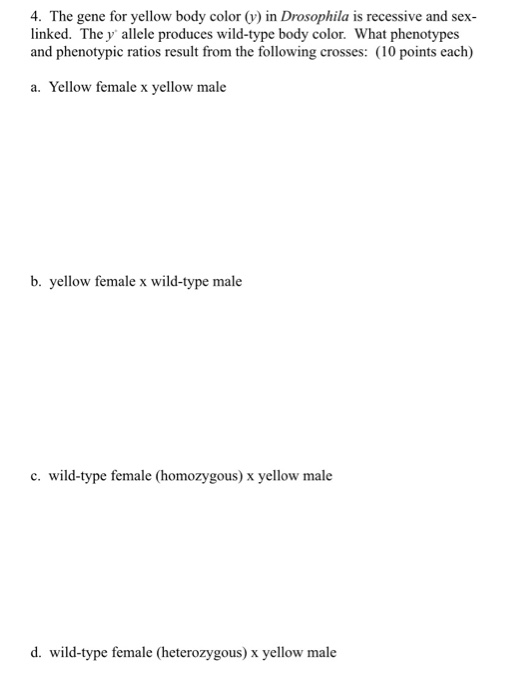 Solved 4. The Gene For Yellow Body Color (y) In Drosophila | Chegg.com