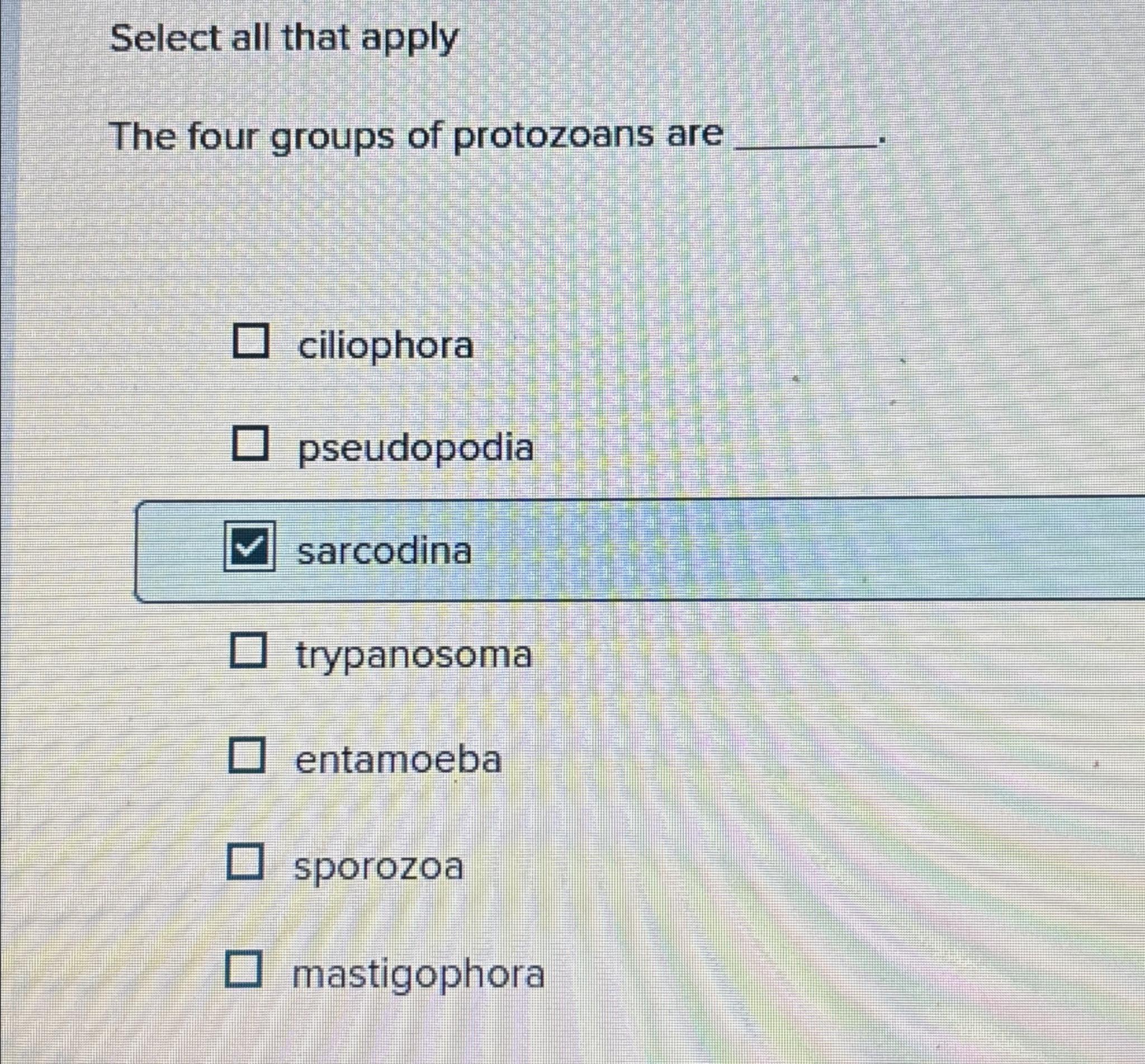 Solved Select all that applyThe four groups of protozoans | Chegg.com