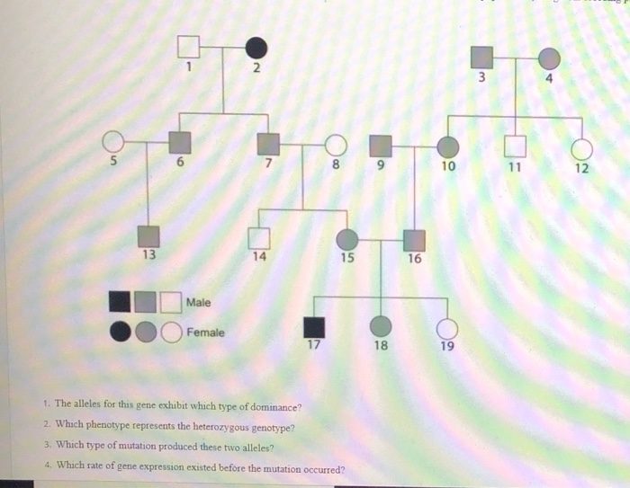 Solved Read the scenario and use the pedigree to answer the | Chegg.com