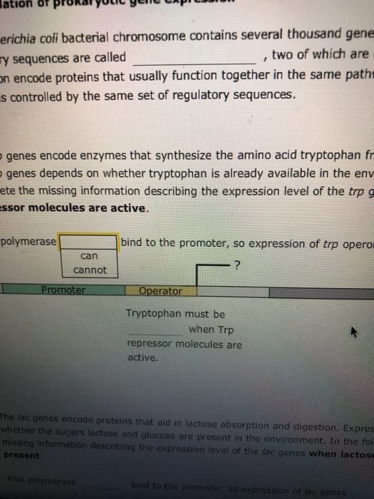 Solved Aa Aa 2. Regulation of prokaryotic gene expression | Chegg.com