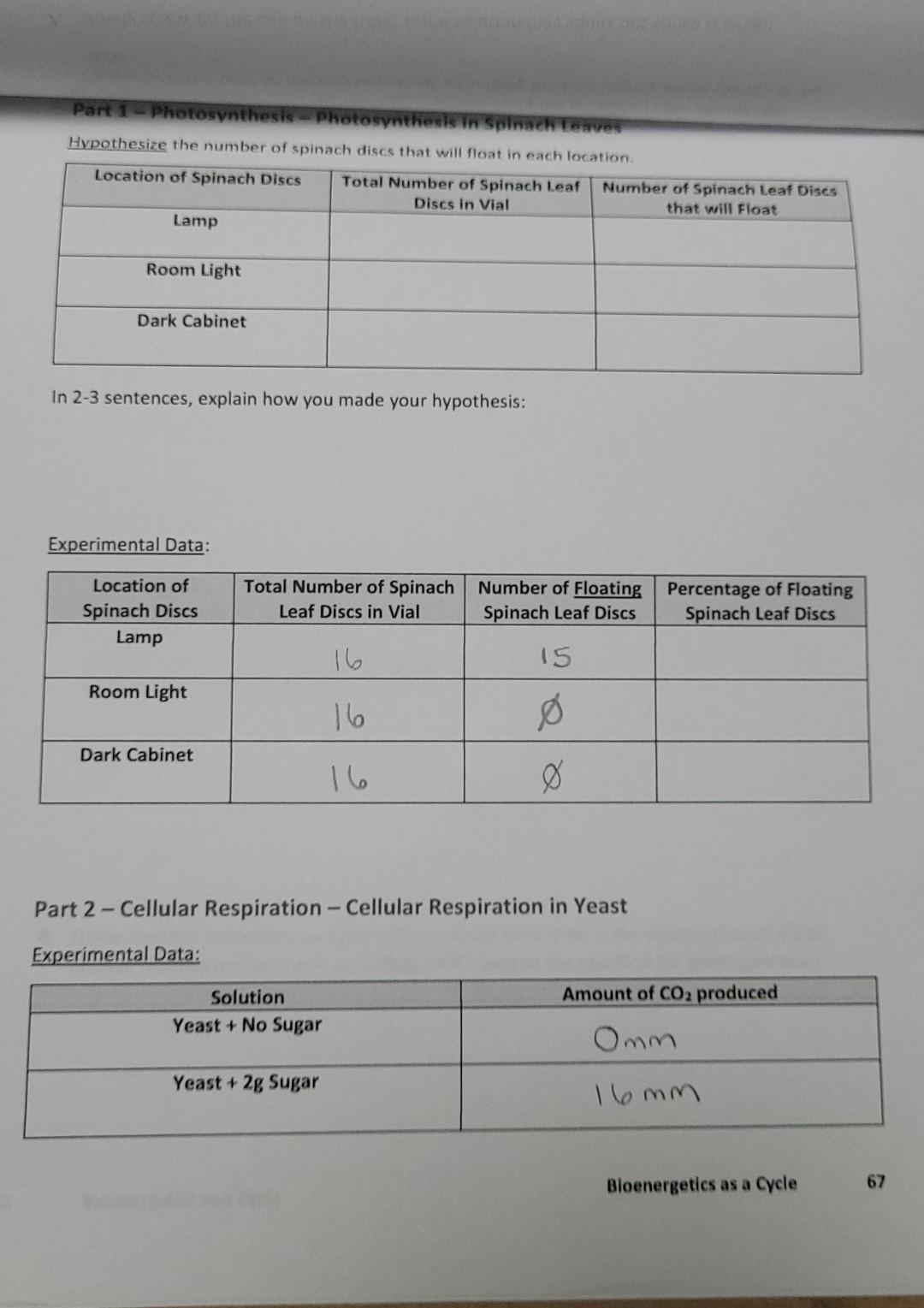 Solved Has anyone done this lab # 6 from Carolina Labs? I