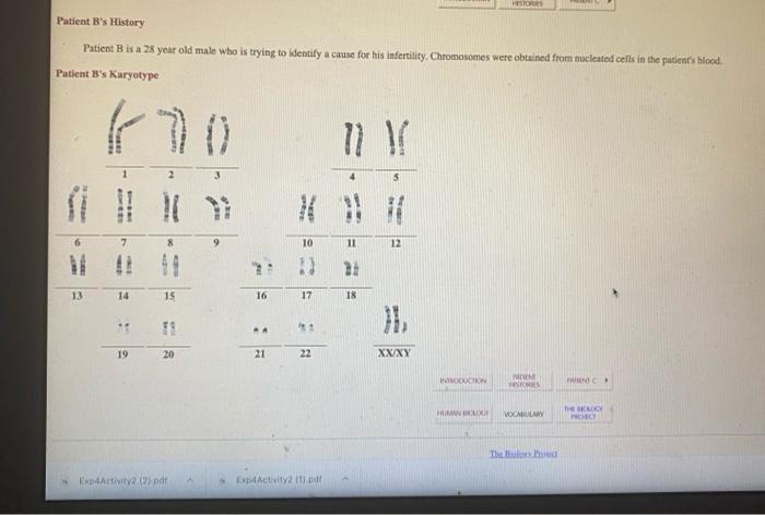 Solved Karyotyping Activity Patient B's Karyotype | Chegg.com