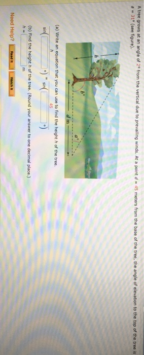 Solved A tree grows at an angle of 2 from the vertical due | Chegg.com