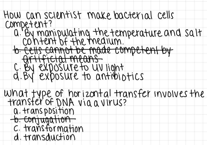 Solved ime How can scientist make bacterial cells competent? | Chegg.com