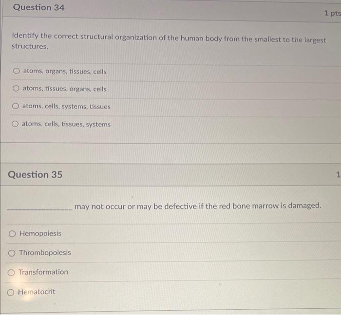 what is the smallest level of structural organization in the body