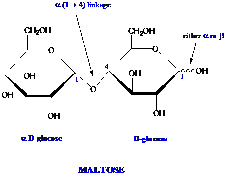 Solved: Identify the type(s) of glycosidic linkage(s) [α(1 →4), et ...