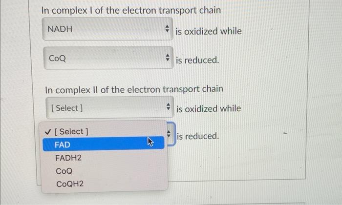 Solved Which complexes of the electron transport chain | Chegg.com
