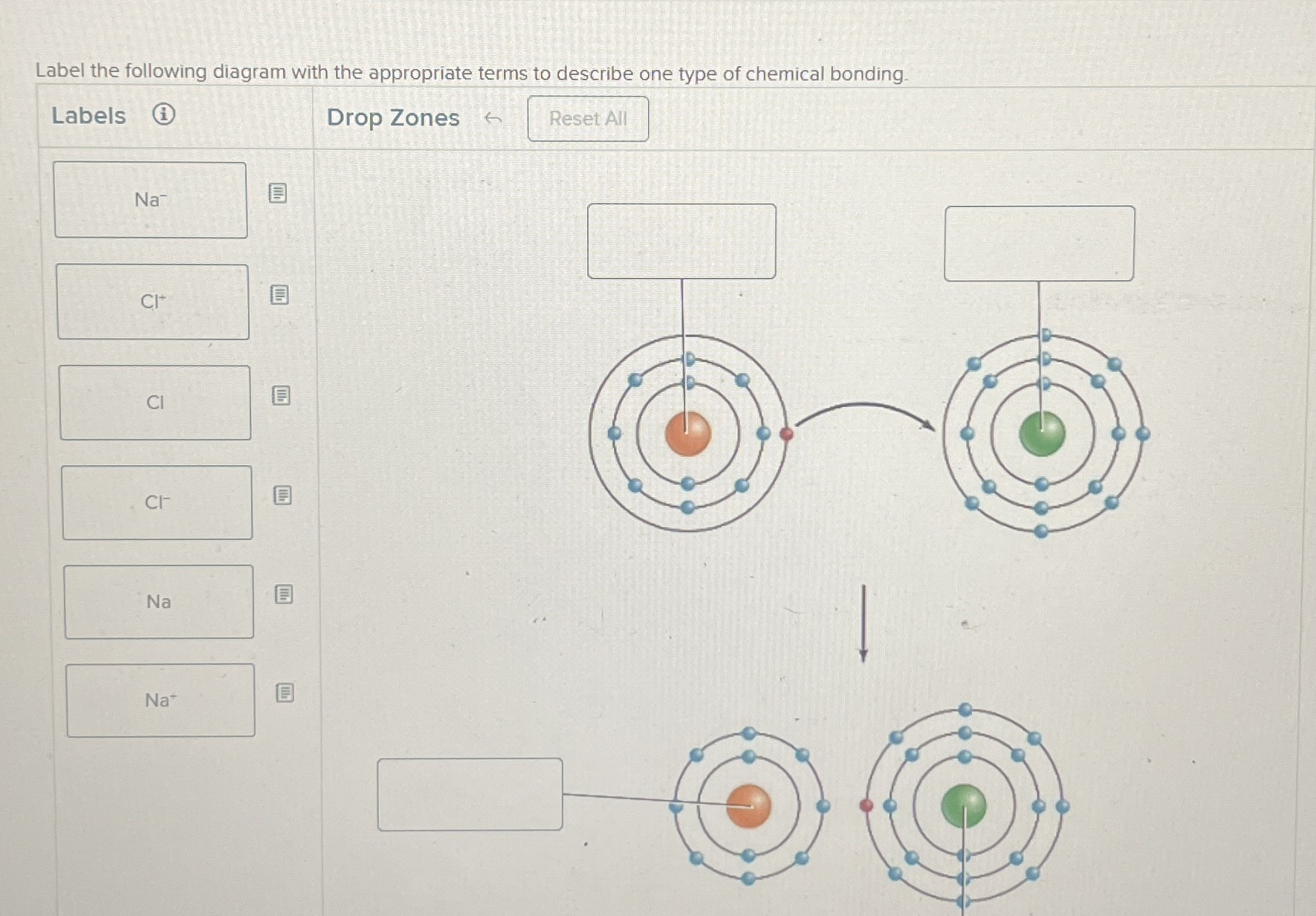 Solved Label the following diagram with the appropriate | Chegg.com