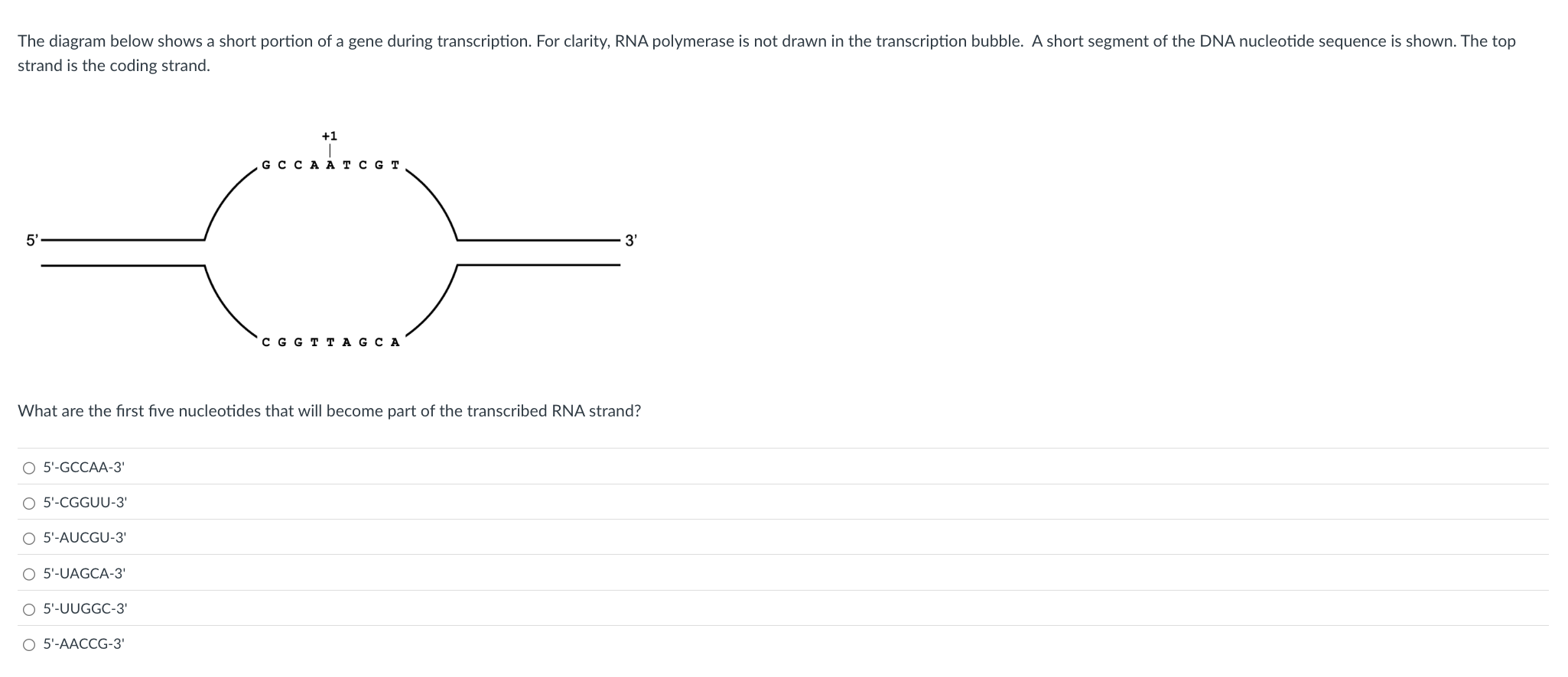 Solved The diagram below shows a short portion of ﻿a gene | Chegg.com