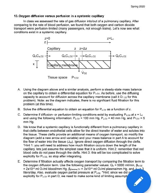 spring-2020-13-oxygen-diffusion-versus-perfusion-in-chegg