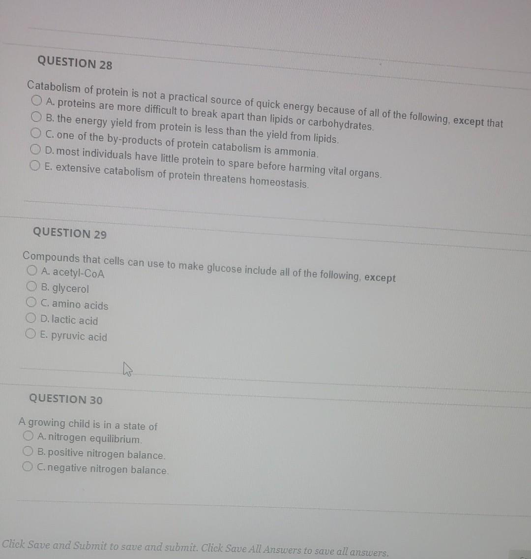 catabolism of protein is not a practical source of quick energy because