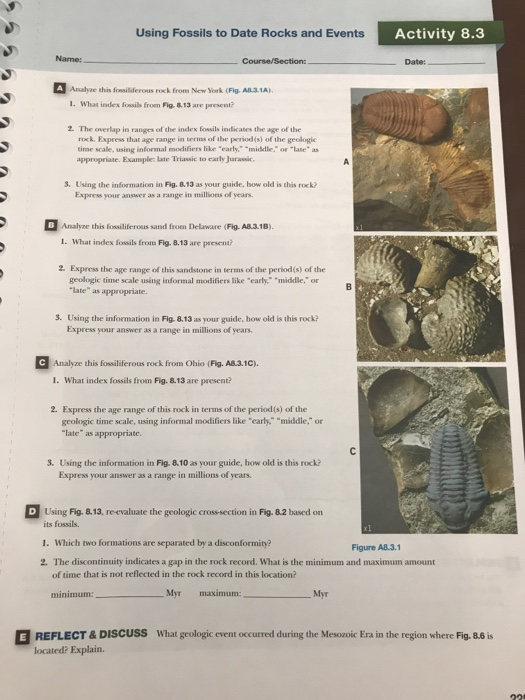 Solved Using Fossils to Date Rocks and Events Activity 8.3 | Chegg.com