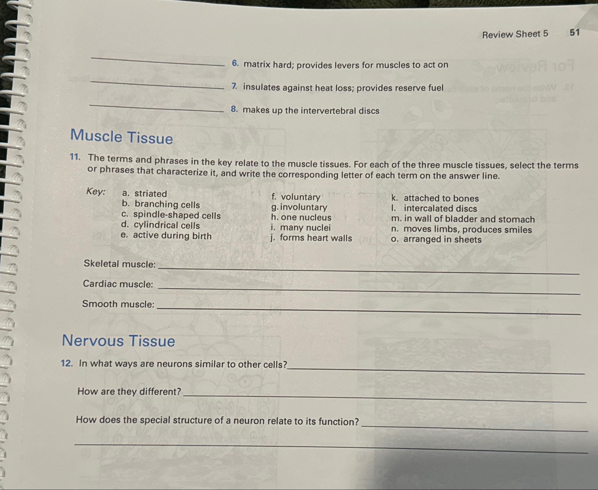 Solved Review Sheet 5516. ﻿matrix hard; provides levers for