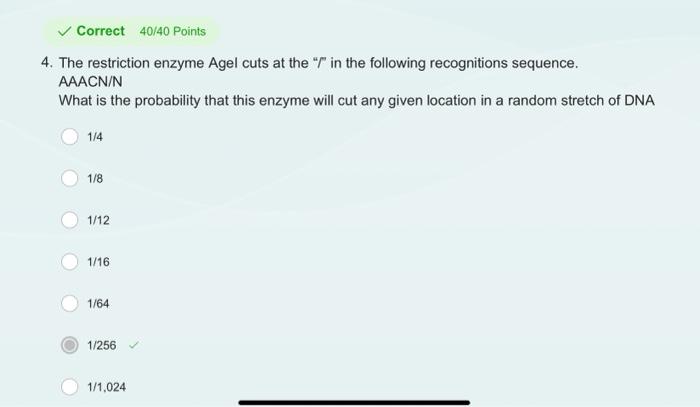 256 (number) visual data 4