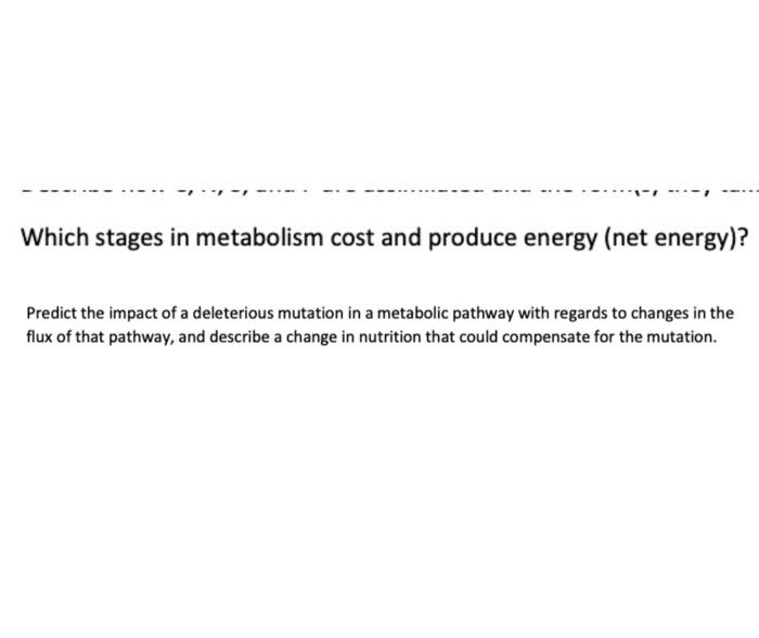 Solved Which stages in metabolism cost and produce energy | Chegg.com