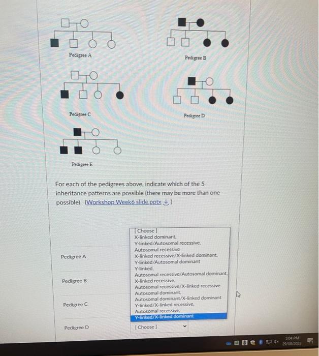 For each of the pedigrees above, indicate which of the 5 inheritance patterns are possible (there may be more than one possib