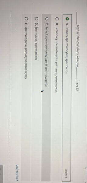 Solved ????? have 46 chromosomes, whereas ?????? have 23 . | Chegg.com