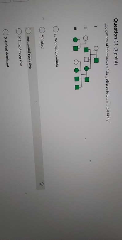 Solved Question 10 (1 point) In the pedigree below for a | Chegg.com