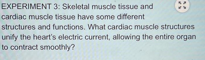 Solved EXPERIMENT 3: Skeletal muscle tissue and cardiac | Chegg.com