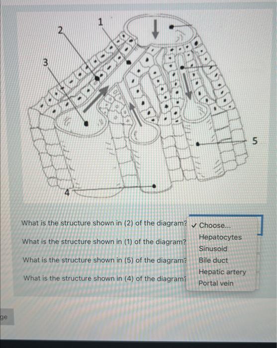 Solved What is the structure shown in (2) of the diagram? | Chegg.com