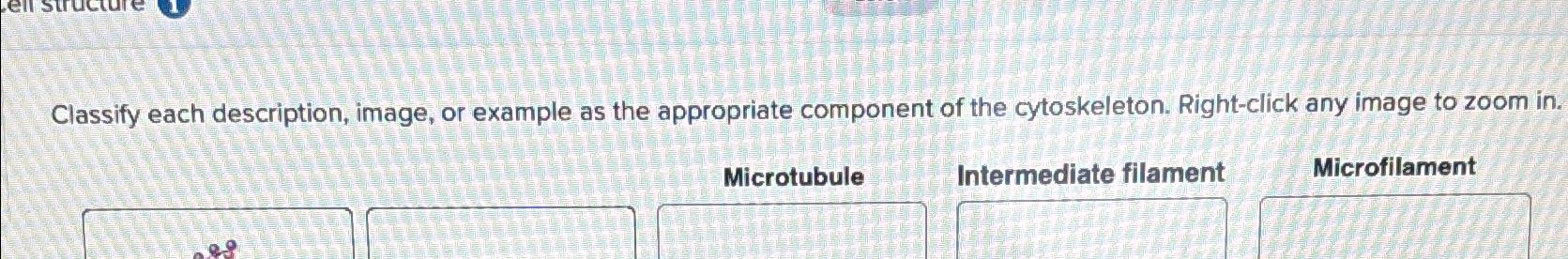Solved Classify each description, image, or example as the | Chegg.com