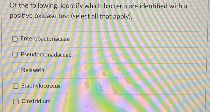 Solved Of the following, identify which bacteria are | Chegg.com