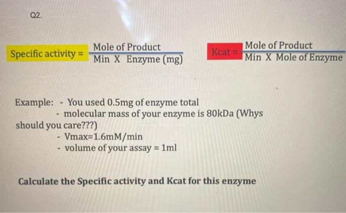 Solved Q2. Specific activity = Mole of Product Min X Enzyme | Chegg.com