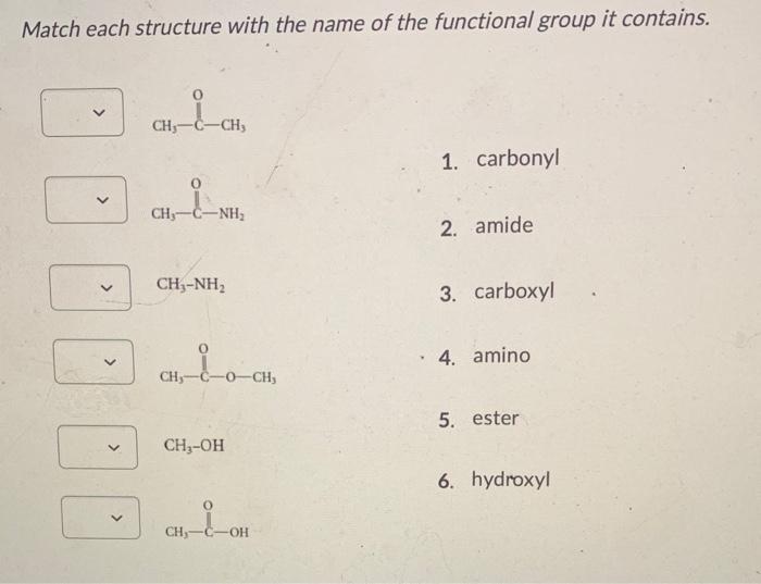 Solved Match each structure with the name of the functional | Chegg.com