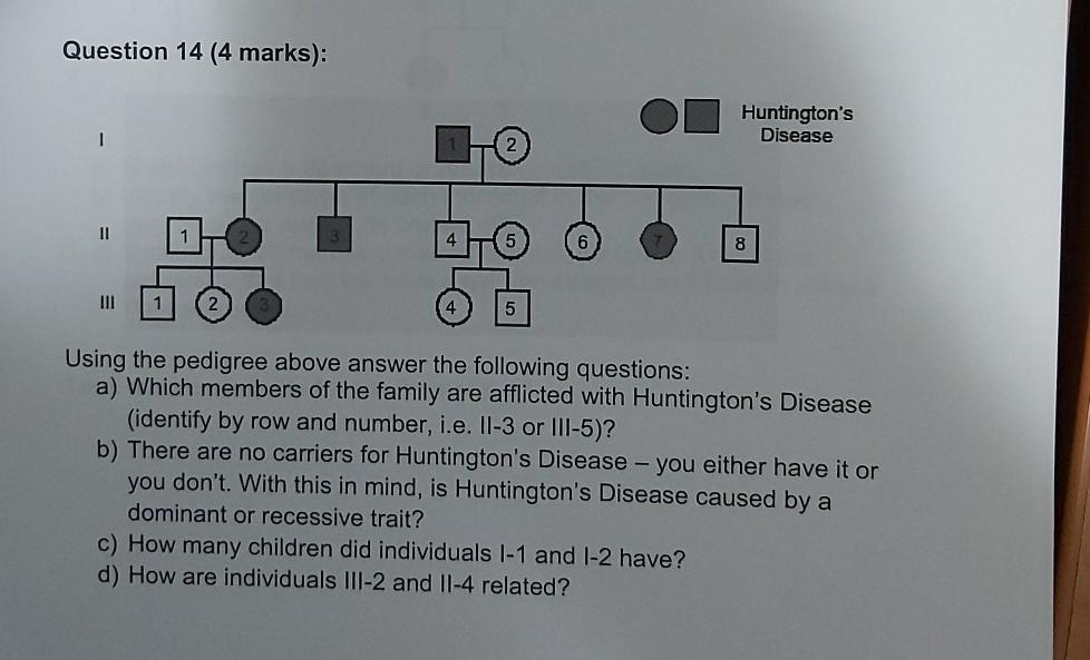 Solved Question 14 (4 Marks): Huntington's Disease 1 1 4 8 5 | Chegg.com