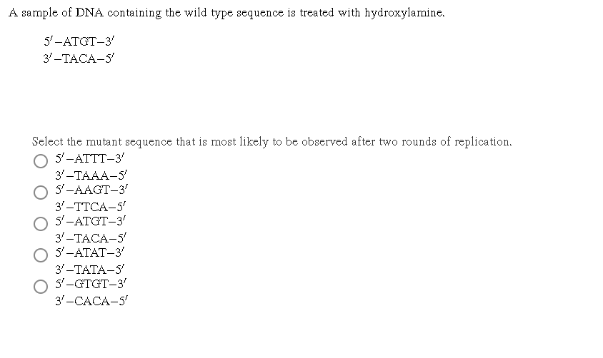 Solved A sample of ﻿DNA containing the wild type sequence is | Chegg.com