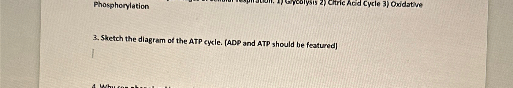 Solved Phosphorylation3. ﻿sketch The Diagram Of The Atp 