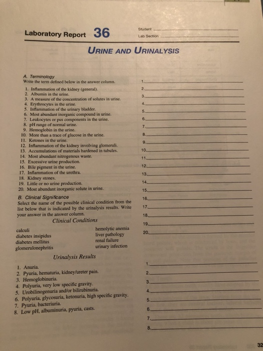 Solved Laboratory Report 36 Student Lab Section URINE AND