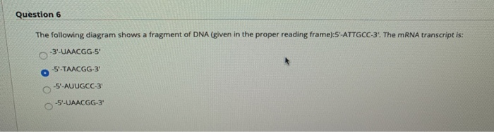 Solved Question 49 One of the reasons why DNA is different | Chegg.com