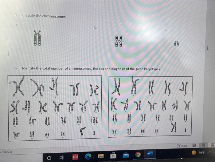 Solved 8. Classify the chromosomes. b. X I 9. Identify the | Chegg.com