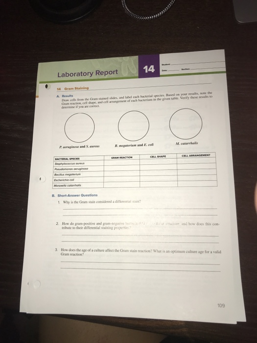 Solved 14 Laboratory Report 16 Gram Staining A Results Dow