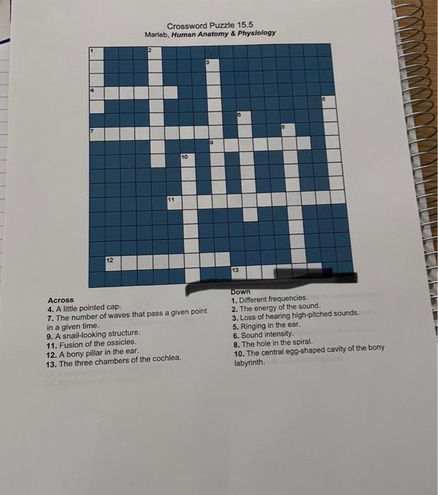 Solved Crossword Puzzle 15 5 Marieb Human Anatomy Chegg