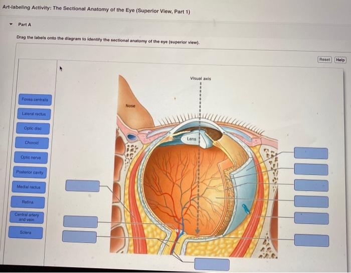 PEOOEIEOEOEOPEE posted: Drawing stuff Part 1 Eyeball