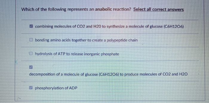 Which Of The Following Is True Of Anabolic Reactions Solved Which of the following represents an anabolic | Chegg.com