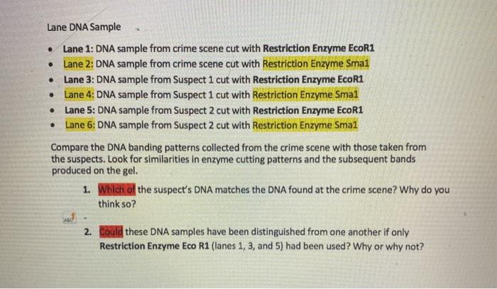 Solved Part 4 Of 5: Crime Scene Analysis DNA Profiling Can | Chegg.com