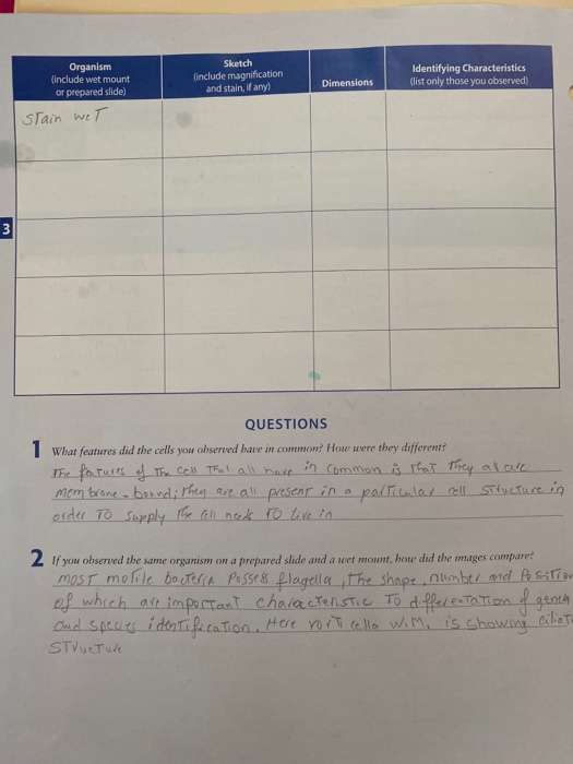 Organism include wet mount or prepared slidel Sketch