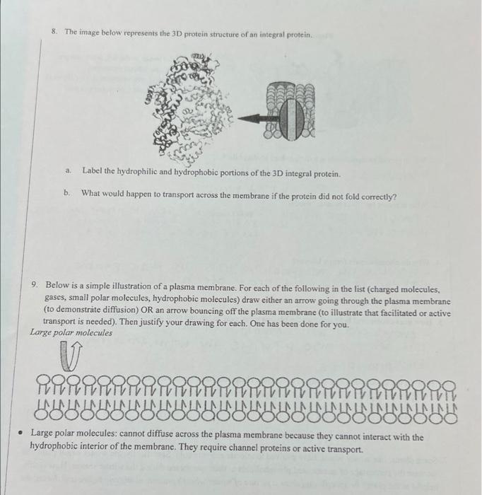 8. The image below represents the 3D protein structure of an integral protein.
a. Label the hydrophilic and hydrophobie porti