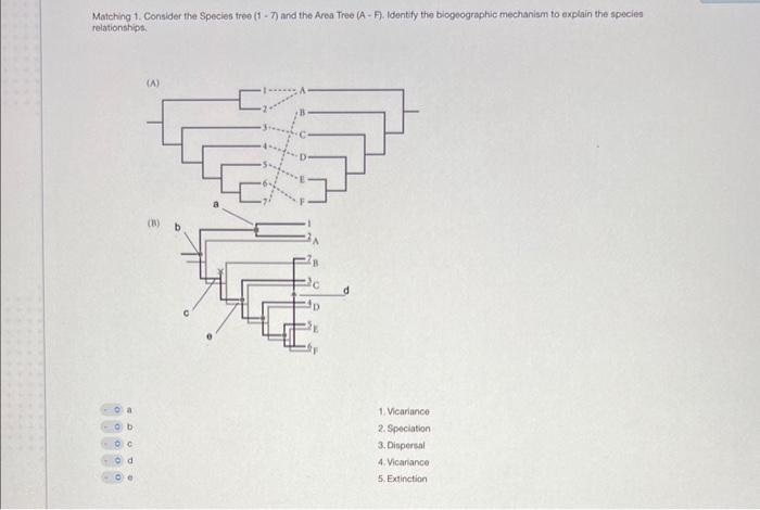 Solved Matching 1. Consider the Species tree (1 - 7) and the | Chegg.com