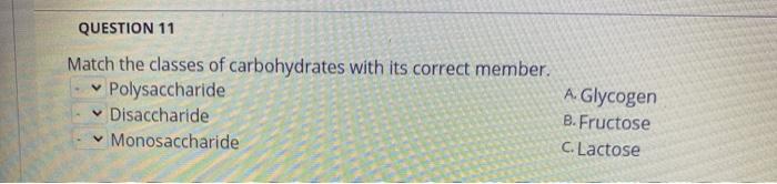 QUESTION 11 Match the classes of carbohydrates with its correct member. Polysaccharide Disaccharide Monosaccharide A. Glycoge